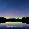 Liriope - Periwinkle